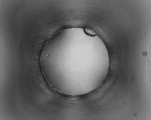 X0000102240259200807250845