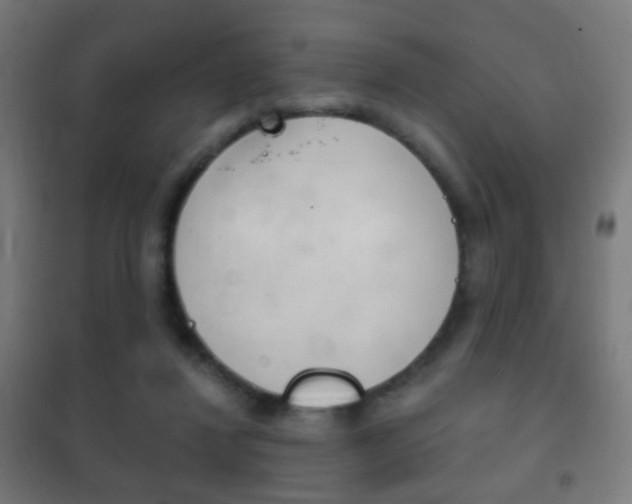 X0000102240260200807250845