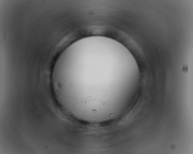 X0000102240262200807250845