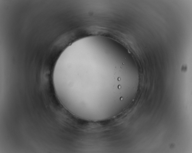X0000102240263200807250845