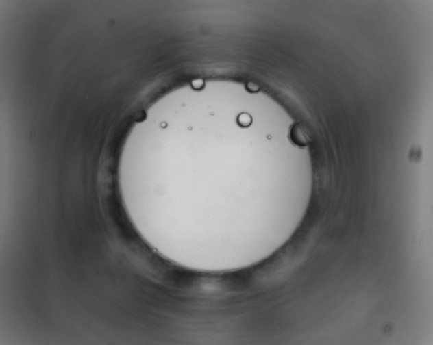 X0000102240264200807250845