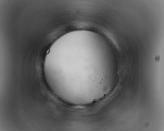 X0000102240265200807250845