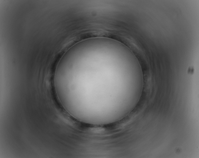 X0000102240266200807250845