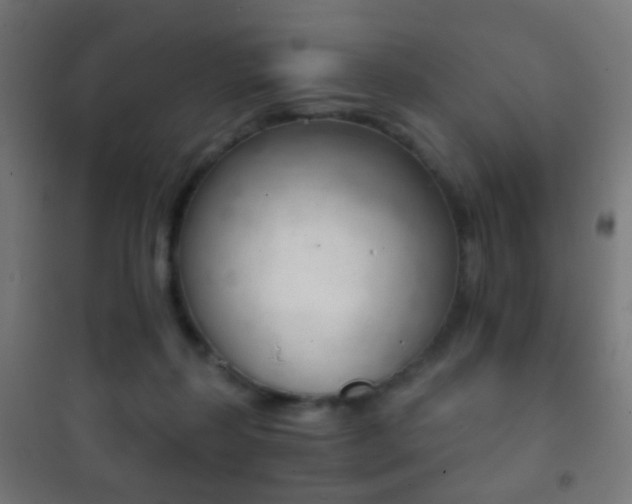 X0000102240267200807250845