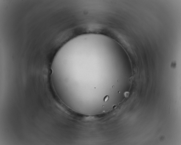 X0000102240269200807250845