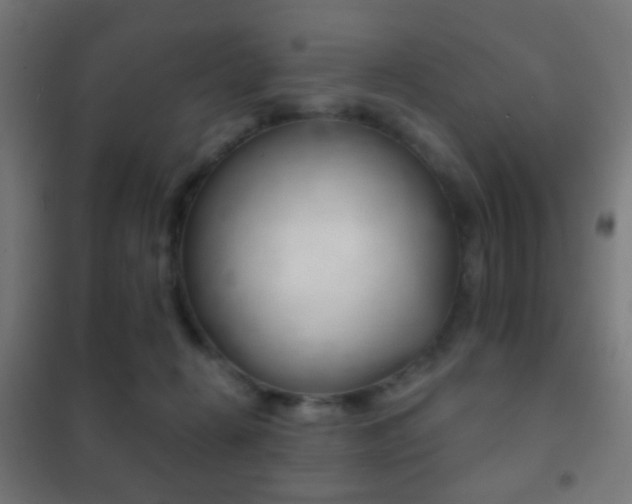 X0000102240270200807250845
