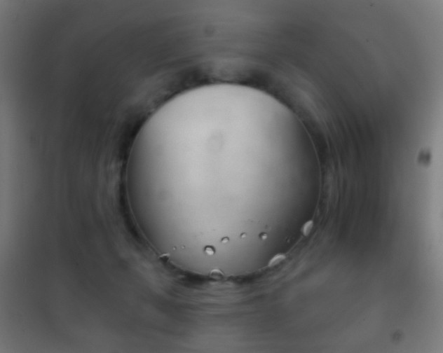 X0000102240271200807250845