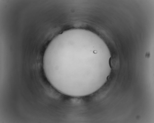 X0000102240272200807250845
