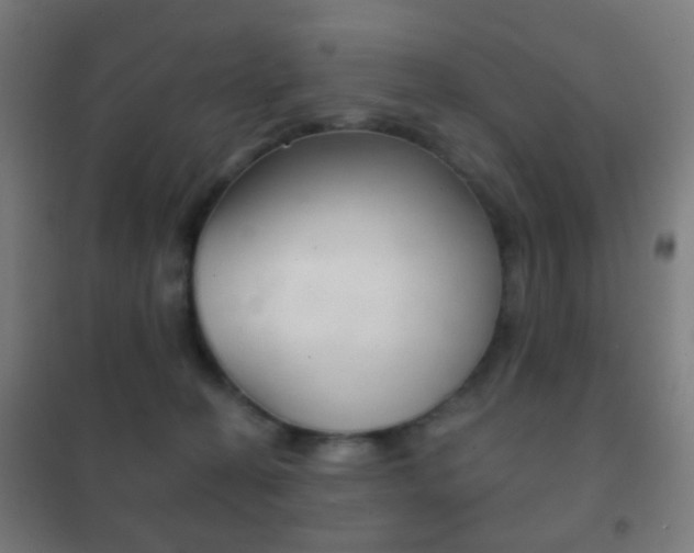 X0000102240274200807250845