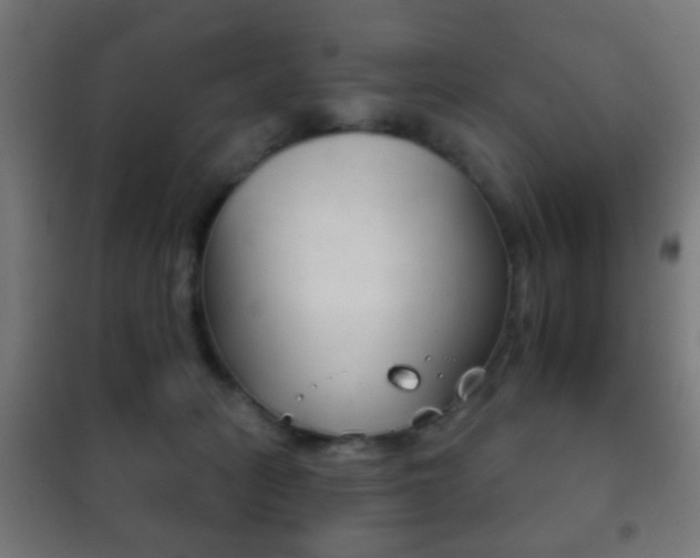 X0000102240275200807250845