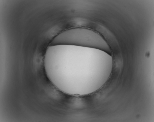 X0000102240276200807250845