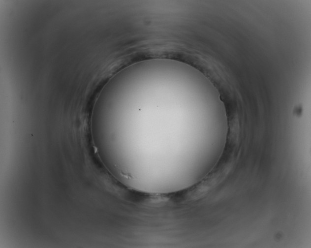 X0000102240278200807250845