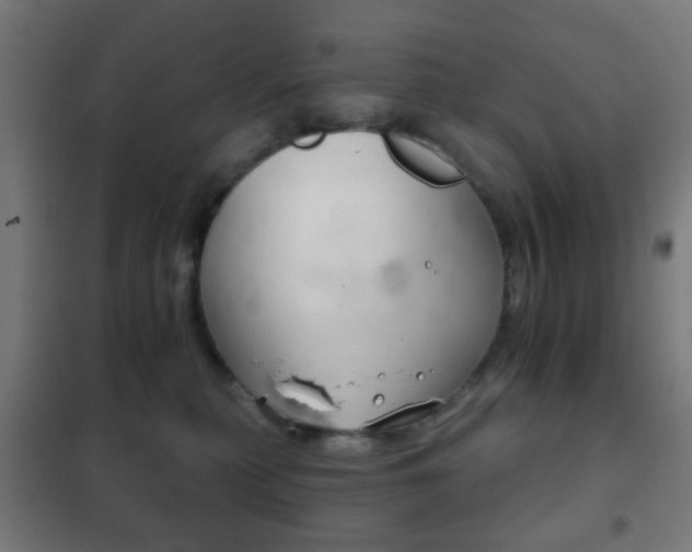 X0000102240279200807250845