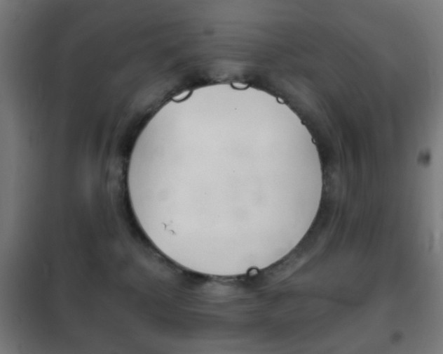 X0000102240280200807250845