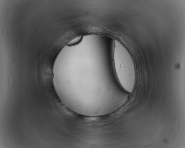 X0000102240281200807250845