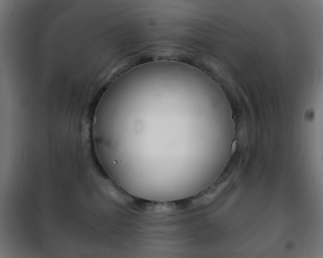 X0000102240282200807250845