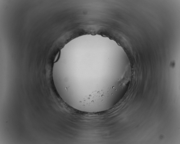 X0000102240283200807250845