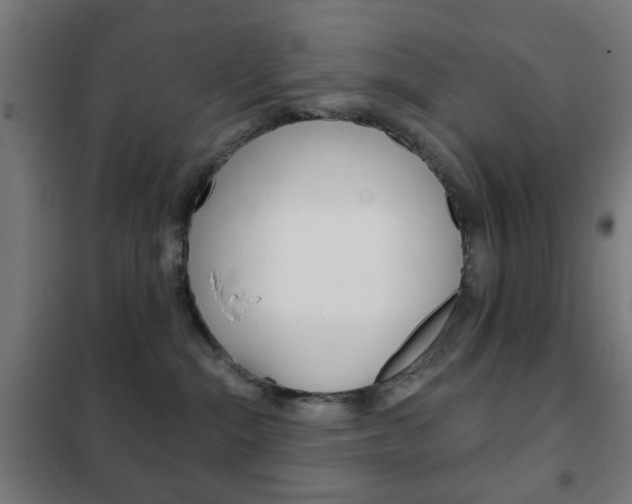 X0000102240284200807250845