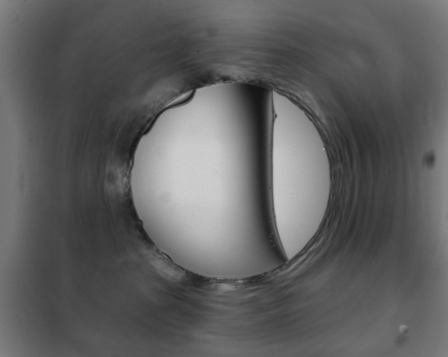 X0000102240285200807250845