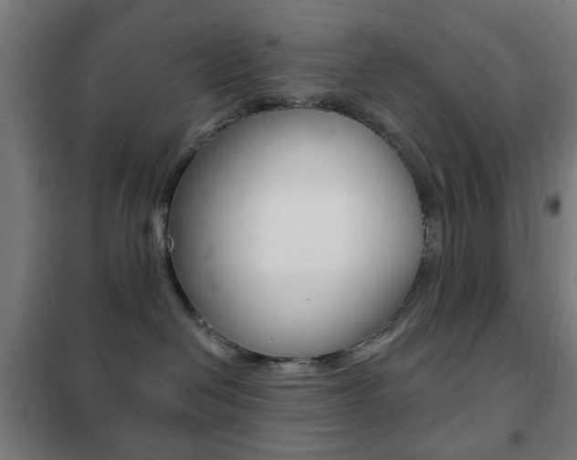 X0000102240286200807250845