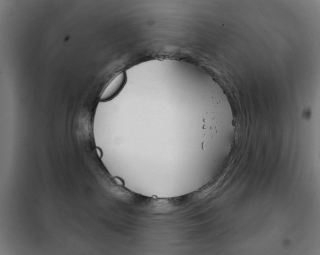 X0000102240287200807250845