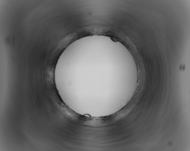X0000102240288200807250845