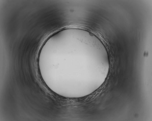 X0000102240289200807250844