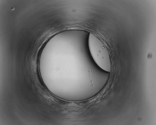 X0000102240290200807250844