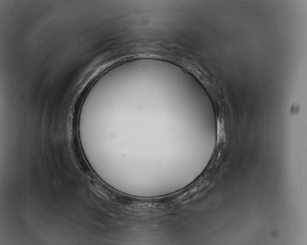 X0000102240291200807250844