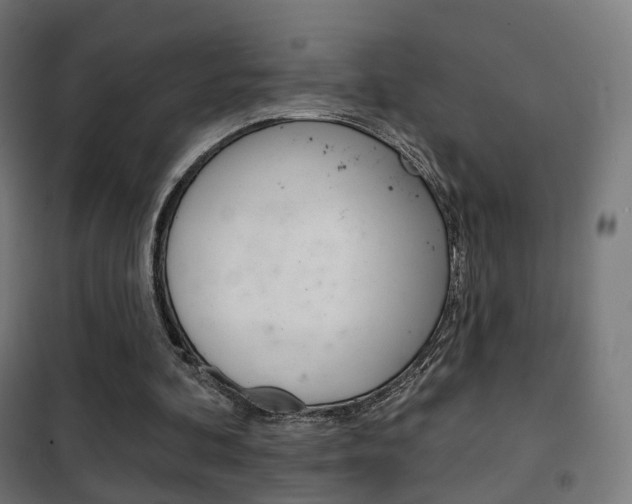 X0000102240292200807250844