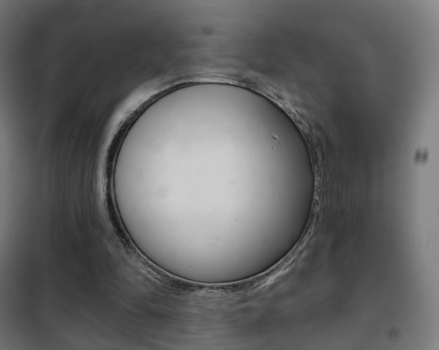 X0000102240294200807250844
