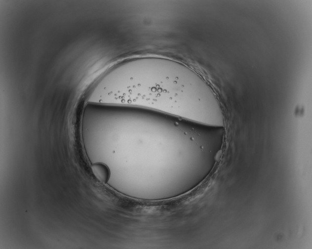 X0000102240295200807250844