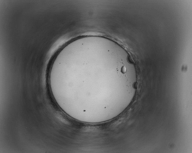 X0000102240296200807250844