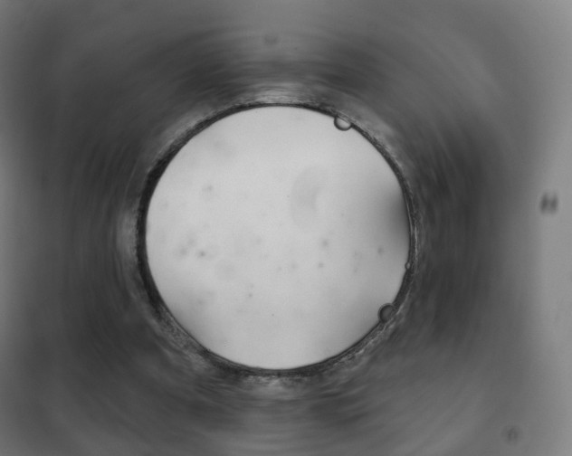 X0000102240297200807250844