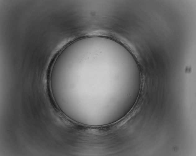 X0000102240298200807250844