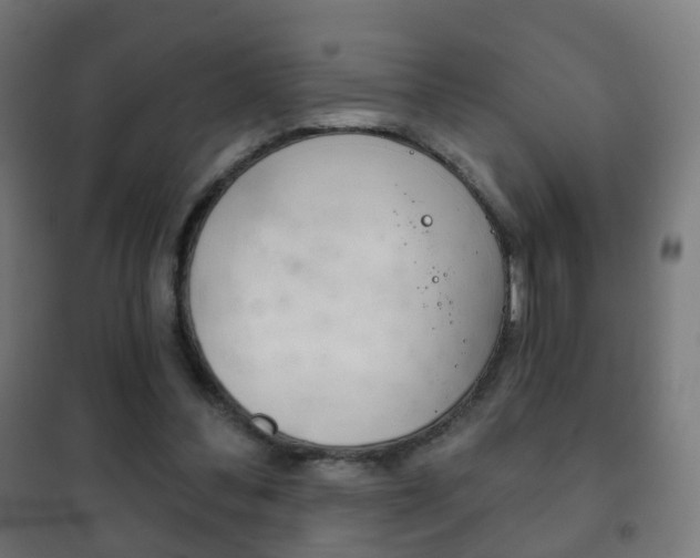 X0000102240300200807250844