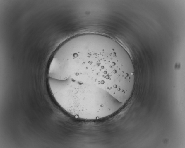 X0000102240301200807250844