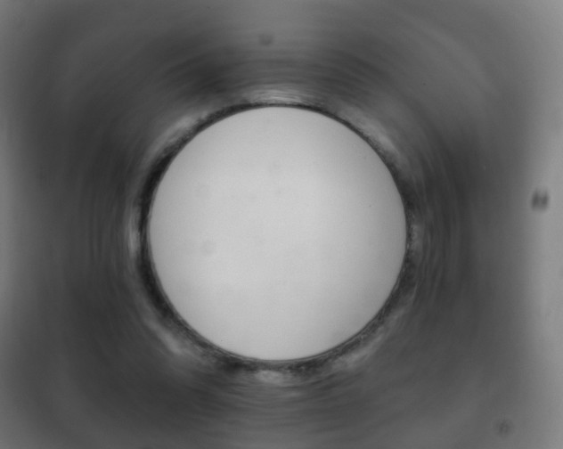 X0000102240302200807250844