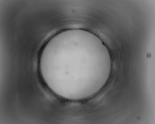 X0000102240304200807250844