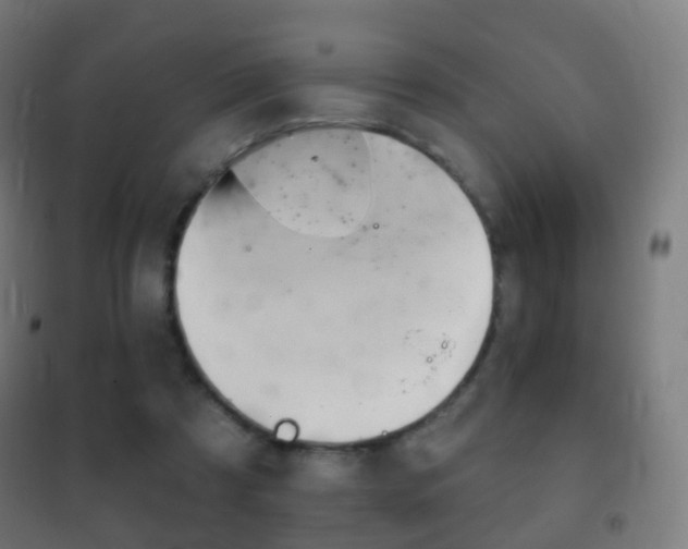 X0000102240305200807250844