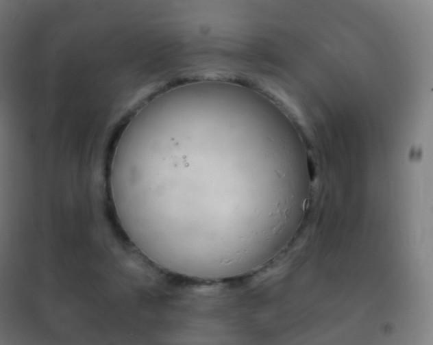 X0000102240306200807250844