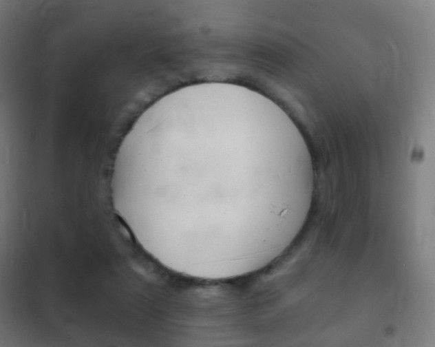 X0000102240307200807250844