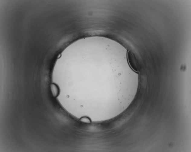 X0000102240308200807250844