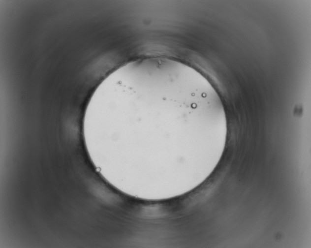X0000102240309200807250844