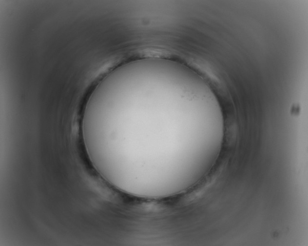 X0000102240310200807250844