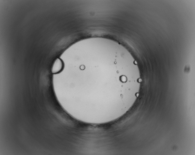 X0000102240311200807250844