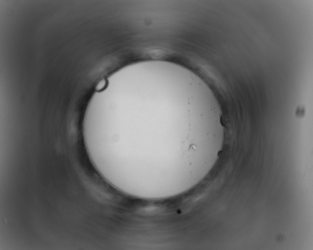 X0000102240312200807250844