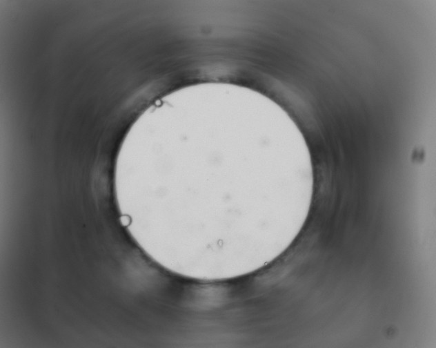 X0000102240313200807250844