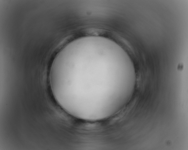 X0000102240314200807250844