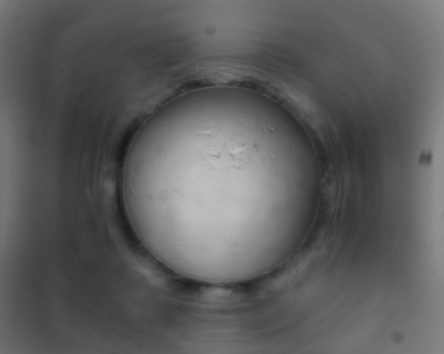 X0000102240315200807250844